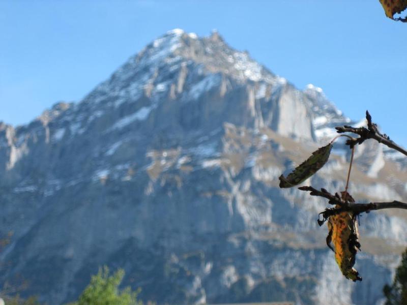 Hotel Gletschertal 格林德瓦 外观 照片